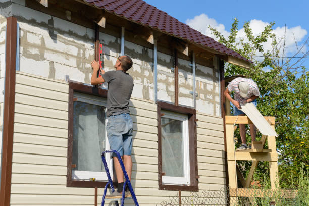 Best Vinyl Siding Installation  in Lake Elsinore, CA